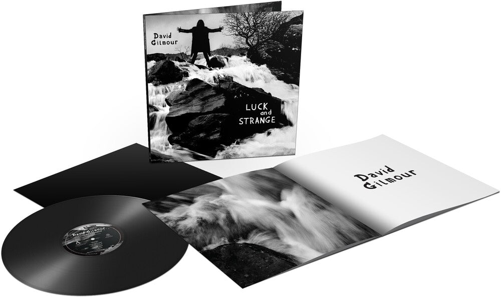 David Gilmour – Luck and Strange (LP Vinyl) Vinyl Record