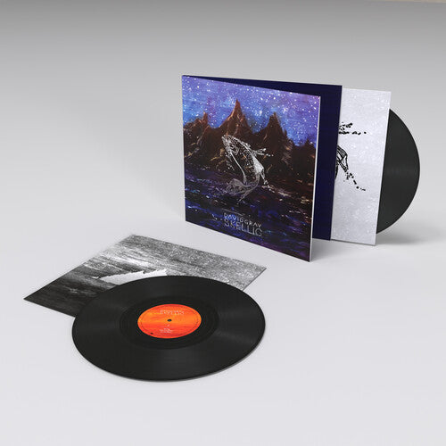 David Gray Skellig (Gatefold LP Jacket) (2 Lp's) Vinyl Record