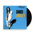 David Lindley – El Rayo-X (LP Vinyl) Vinyl Record