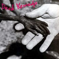 Plastic Surgery Disasters [Import] Vinyl Record