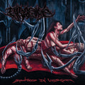 Divulsive – Spawned in Viscera Music CD