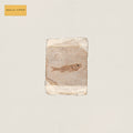 Do Nothing – Friend World Music CD