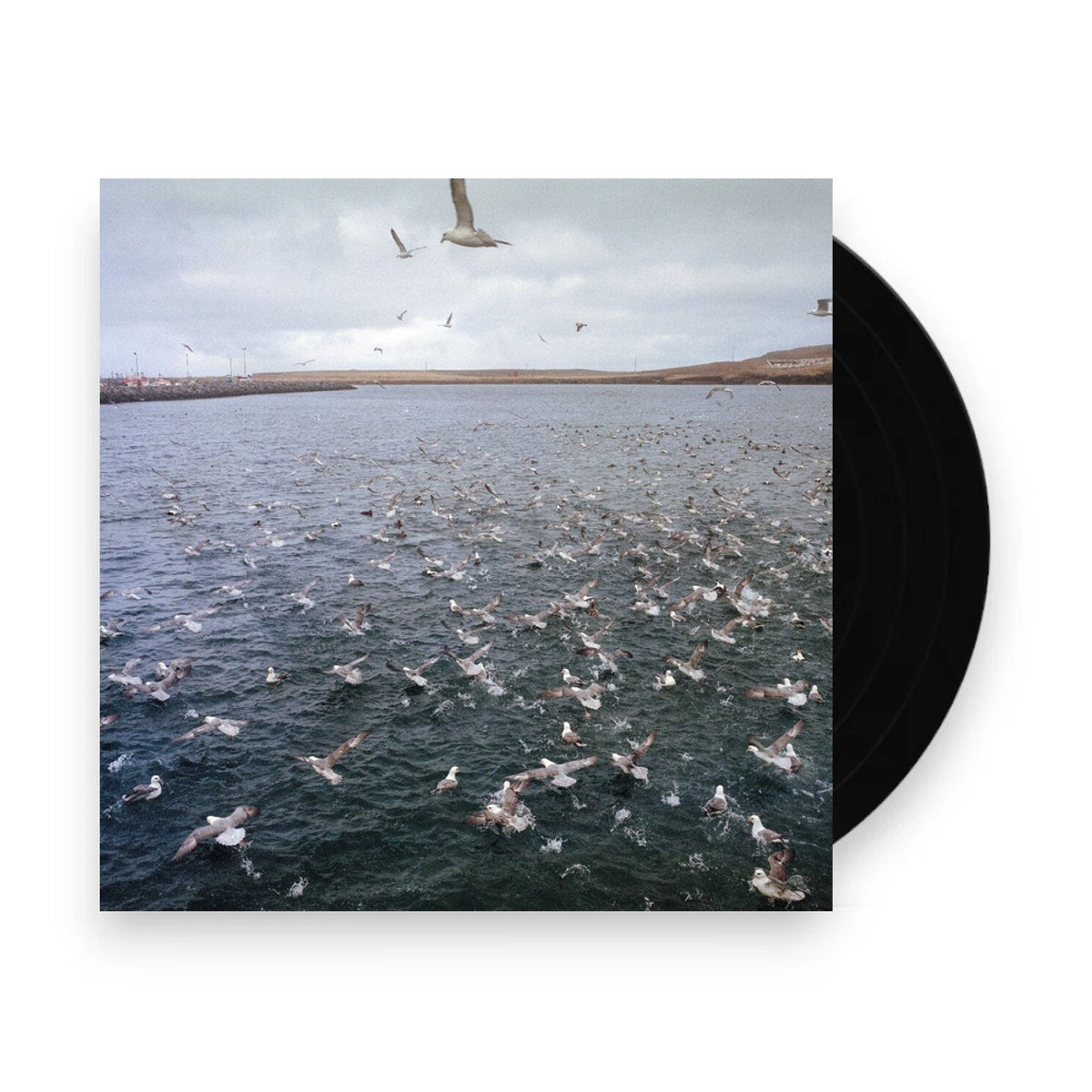 Docile Bodies – Rest (LP Vinyl) Vinyl Record