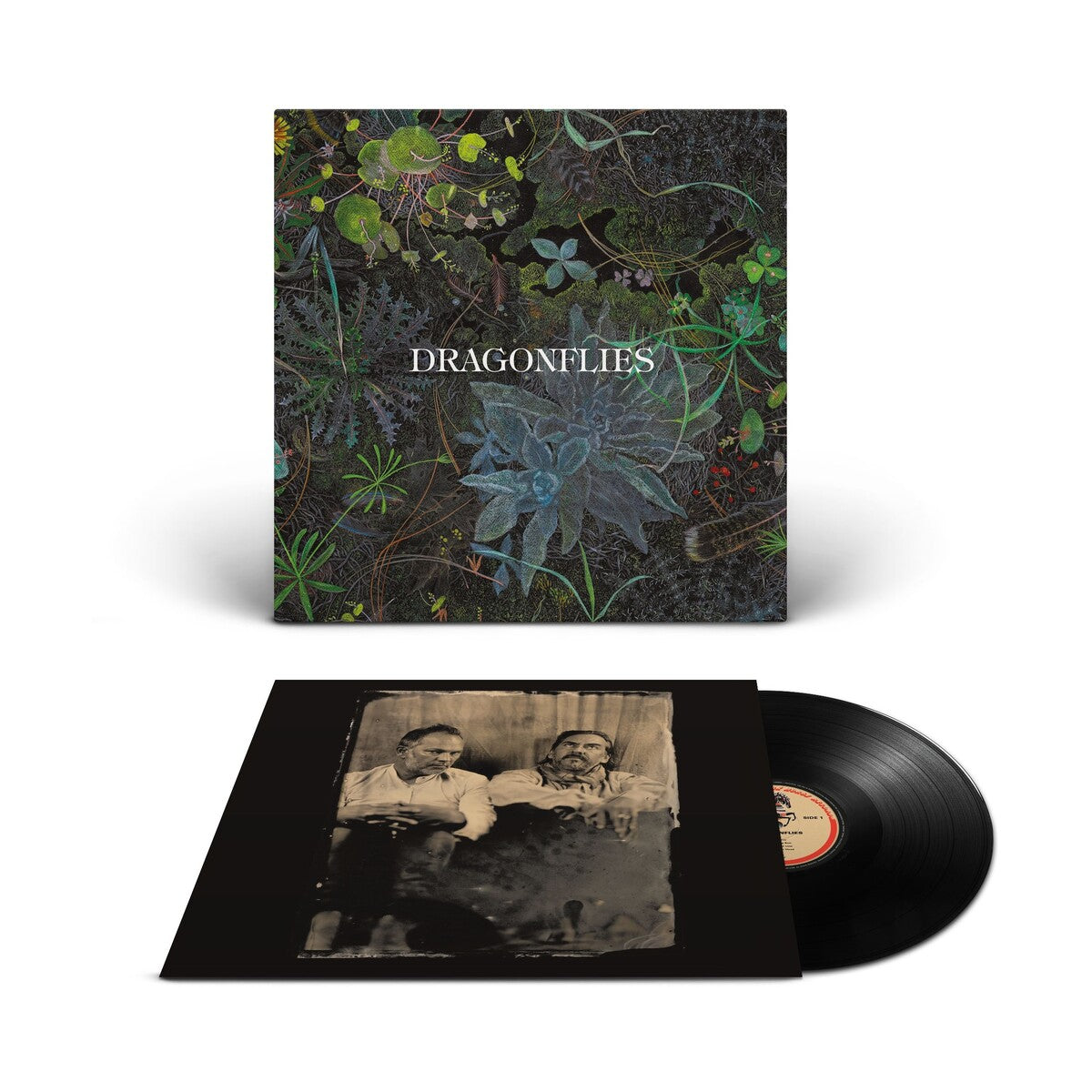 Dragonflies – Dragonflies (Black LP Vinyl) Vinyl Record