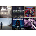 Curtain Call 2 (2LP) & Encore & Curtain Call: Hits & Recovery & Marshall Mathers LP 2 & Slim Shady LP