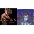 New Amerykah Part 2: Return Of Ankh & Baduizm