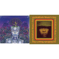 New Amerykah Part 2: Return Of Ankh & Mama's Gun