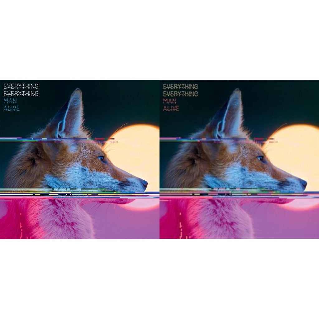 Everything Everything - Man Alive & Man Alive (Deluxe Edition) (2LP)