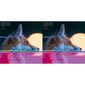 Everything Everything - Man Alive & Man Alive (Deluxe Edition) (2LP)