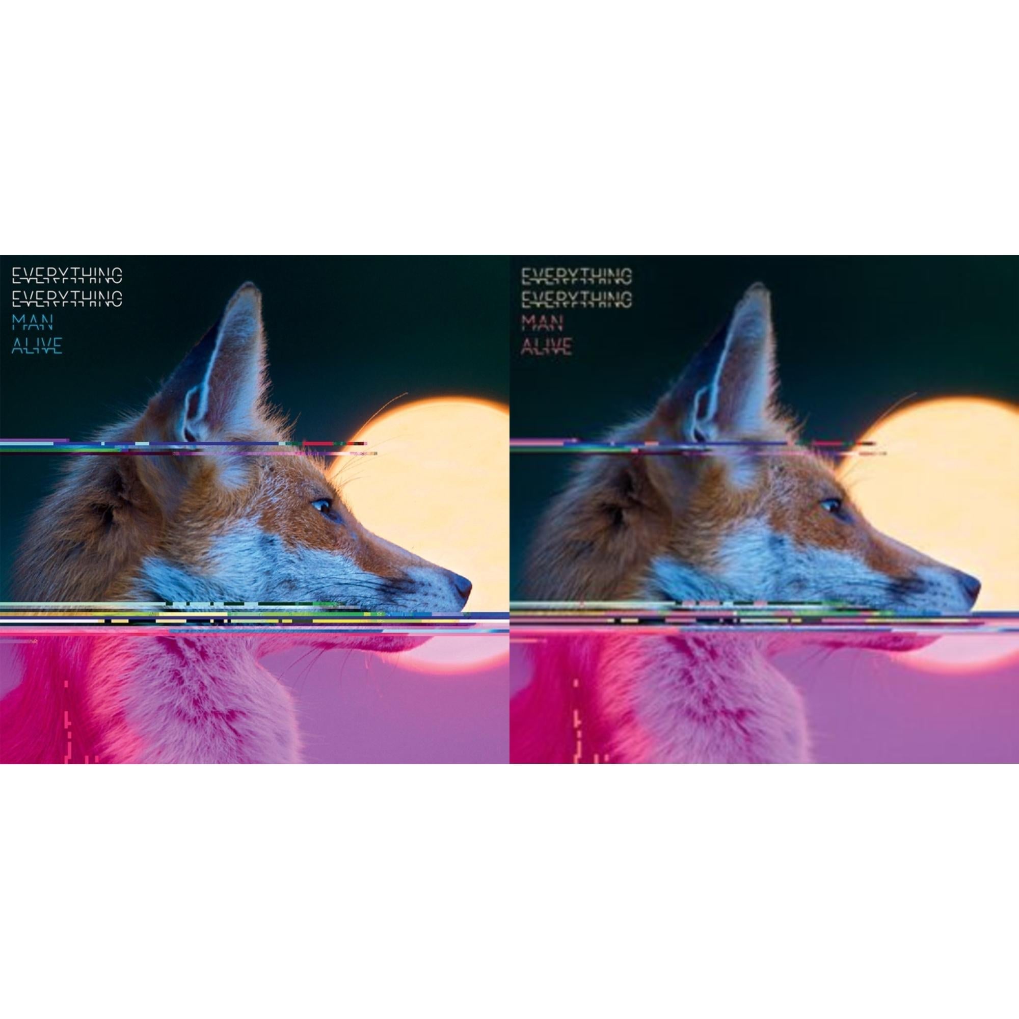 Everything Everything - Man Alive & Man Alive (Deluxe Edition) (2LP)