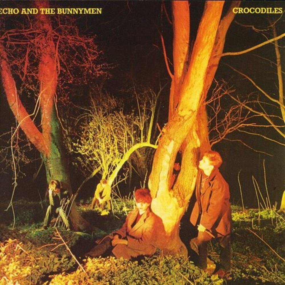 Echo & The Bunnymen – Crocodiles (LP Vinyl) Vinyl Record