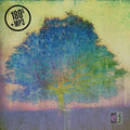 Eric Johnson - EJ Vinyl Record