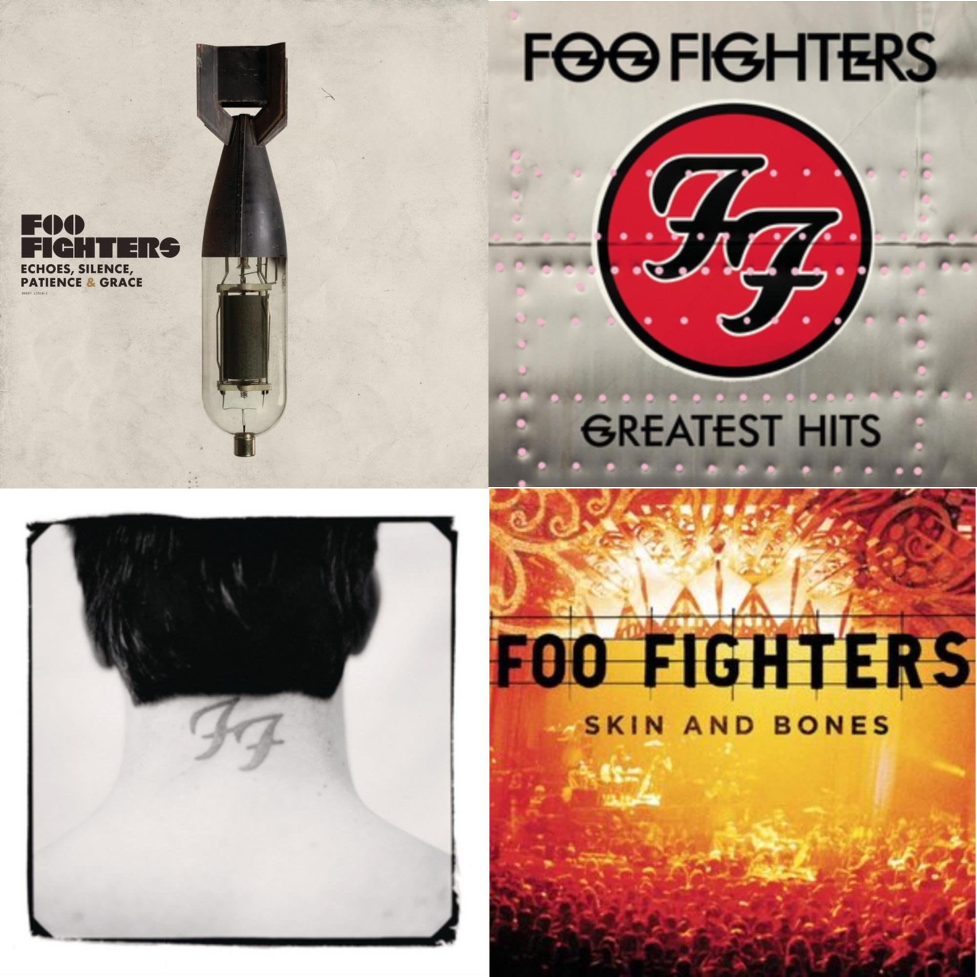 Echoes Silence Patience & Grace & Greatest Hits (2LP/Dl Card/Gatefold) & There Is Nothing Left To Lose (2LP/Dl Card) & Skin & Bones (2LP/Dl Card)