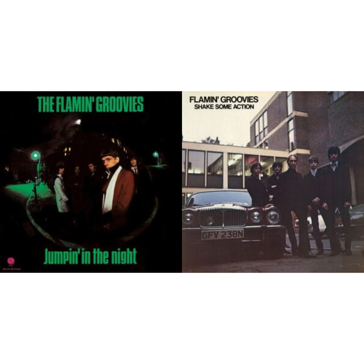 Flamin' Groovies - Jumpin' In The Night (180G) & Shake Some Action (Burnt Orange LP Vinyl) (Ams Exclusive)