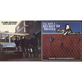 Flamin' Groovies - Bucket Of Brains & Shake Some Action (Burnt Orange LP Vinyl) (Ams Exclusive)