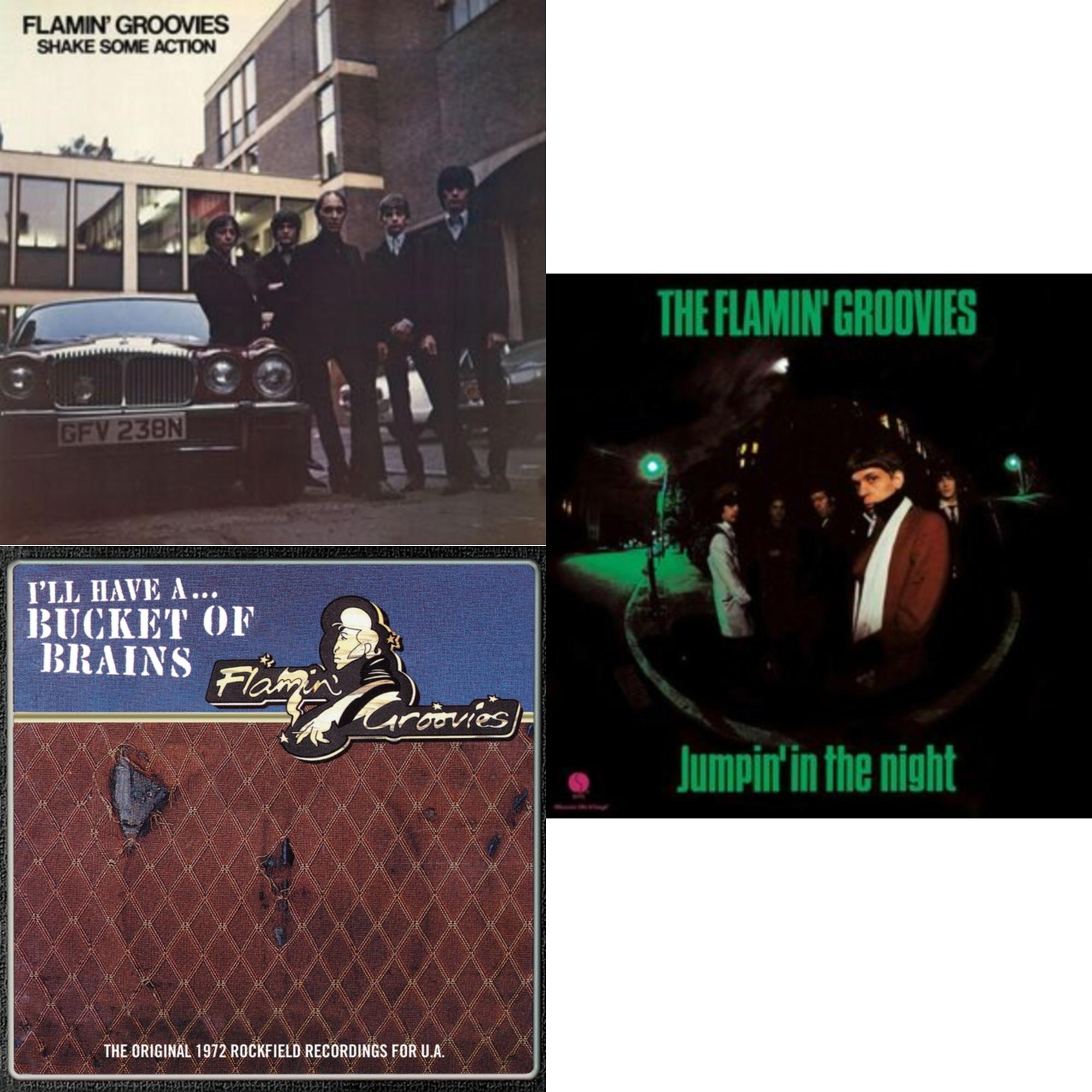 Flamin' Groovies - Bucket Of Brains & Shake Some Action (Burnt Orange LP Vinyl) (Ams Exclusive) & Jumpin' In The Night (180G)