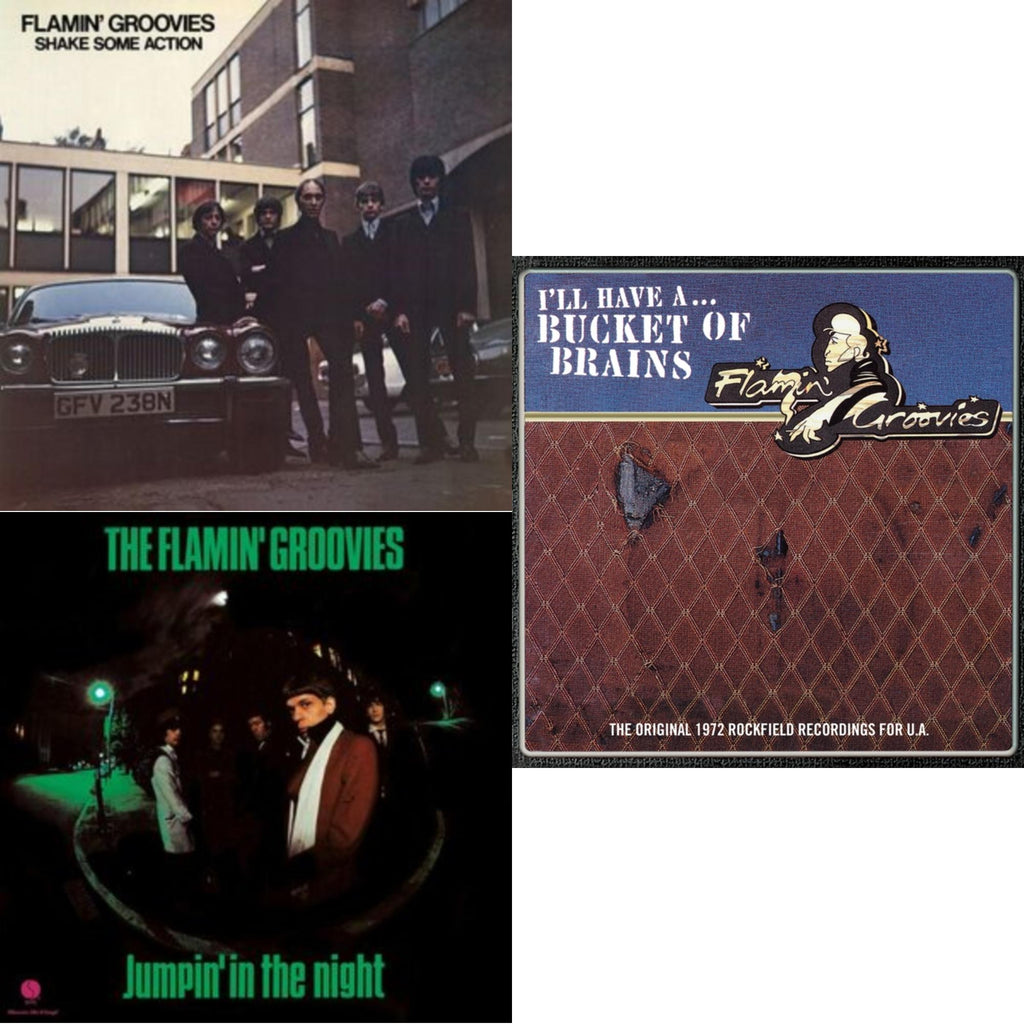Flamin' Groovies - Shake Some Action (Burnt Orange LP Vinyl) (Ams Exclusive) & Jumpin' In The Night (180G) & Bucket Of Brains