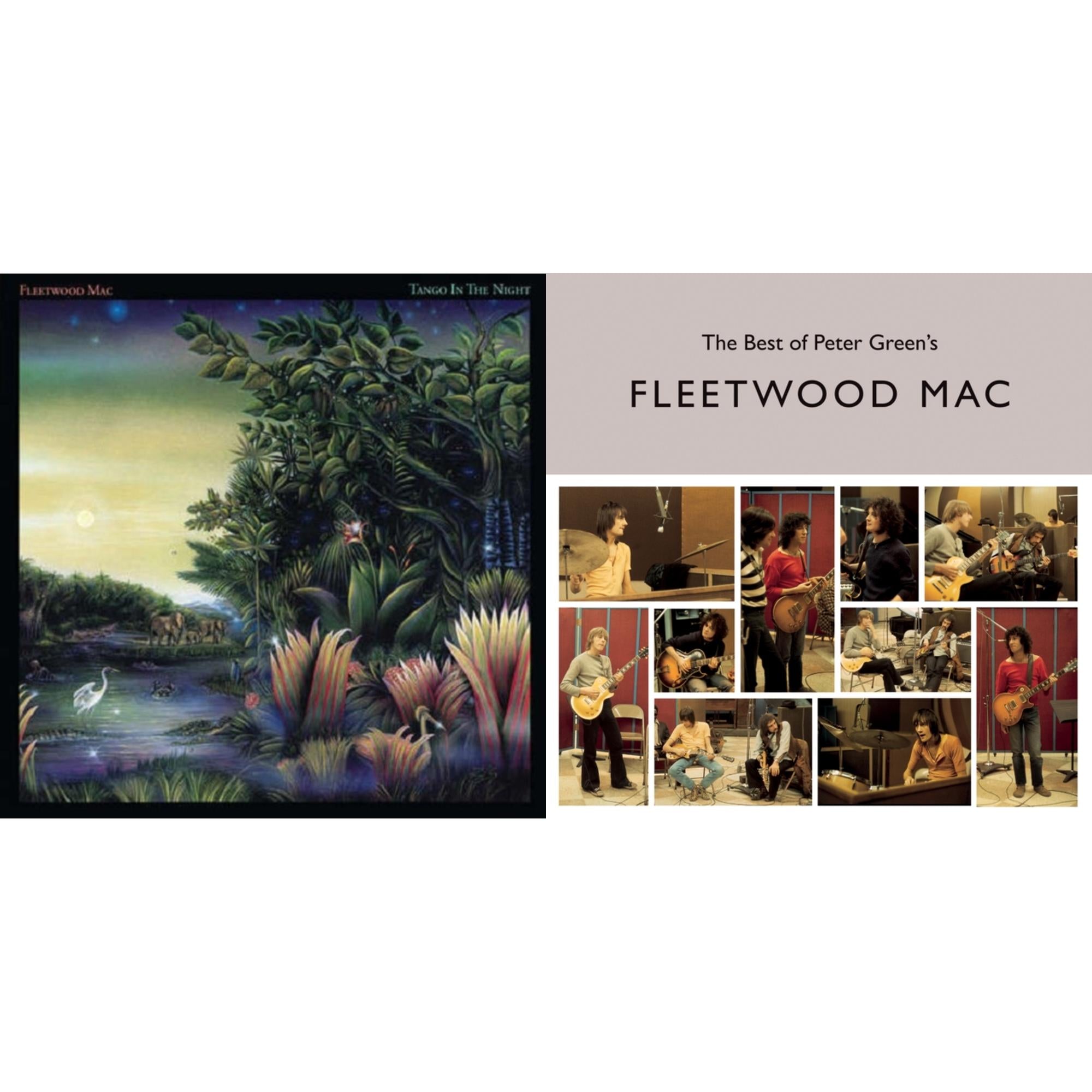 Fleetwood Mac - Tango In The Night & Best Of Peter Green's Fleetwood Mac (2LP/140G)