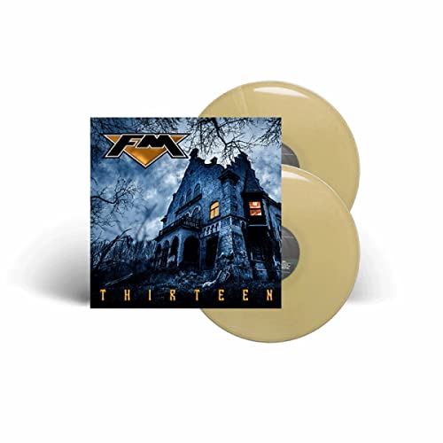 FM - THIRTEEN Vinyl Record