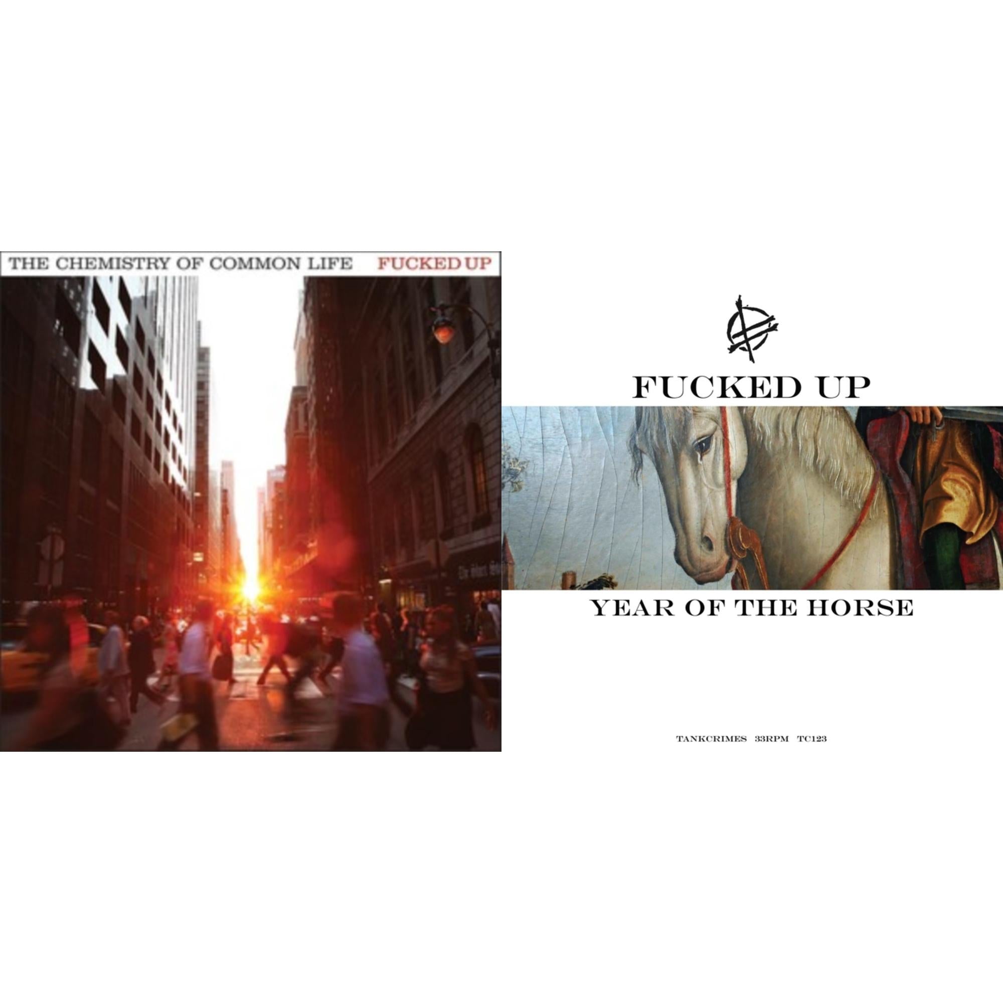 Chemistry Of Common Life (Clear Orange Vinyl/2LP) & Year Of The Horse