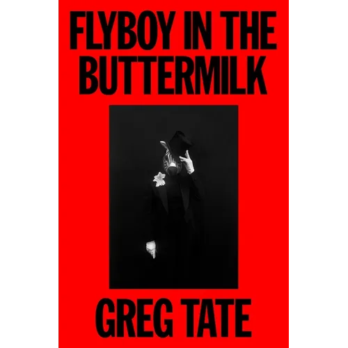 Flyboy in the Buttermilk: Essays on Contemporary America - Hardcover Book