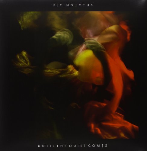 UNTIL THE QUIET COMES Vinyl Record