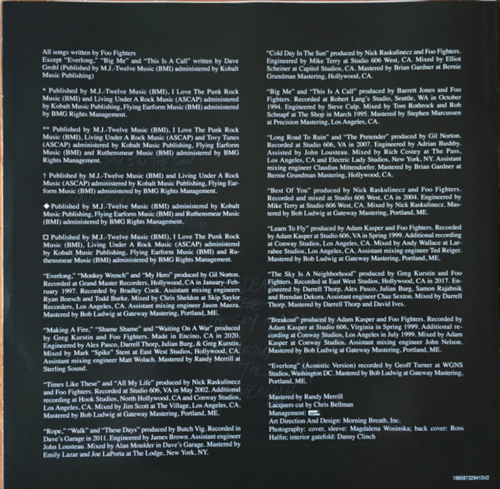 Foo Fighters – The Essential Foo Fighters (2-LP Vinyl) Vinyl Record