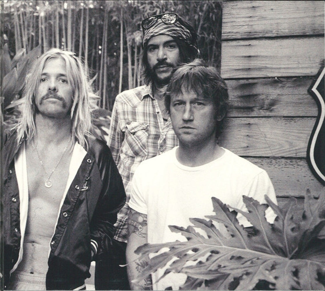 Foo Fighters – The Essential Foo Fighters Music CD