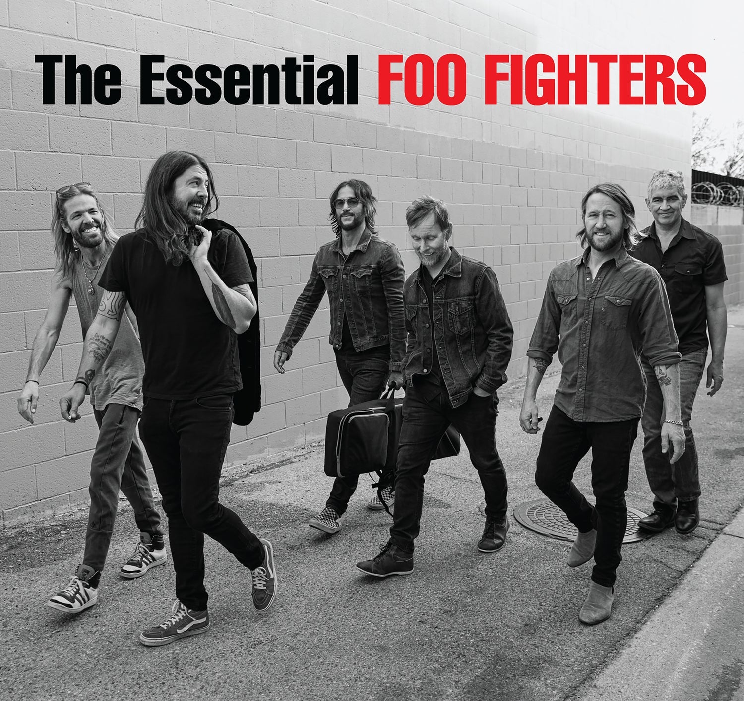 Foo Fighters The Essential Foo Fighters Vinyl Record