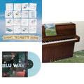 Sophtware Slump.....On A Wooden Piano (Pink LP Vinyl) (Ten Bands One Cause) & Sumday: The Cassette Demos & Blu Wav (Wav Blue LP Vinyl)