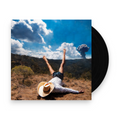 Geese – 3D Country (LP Vinyl) Vinyl Record