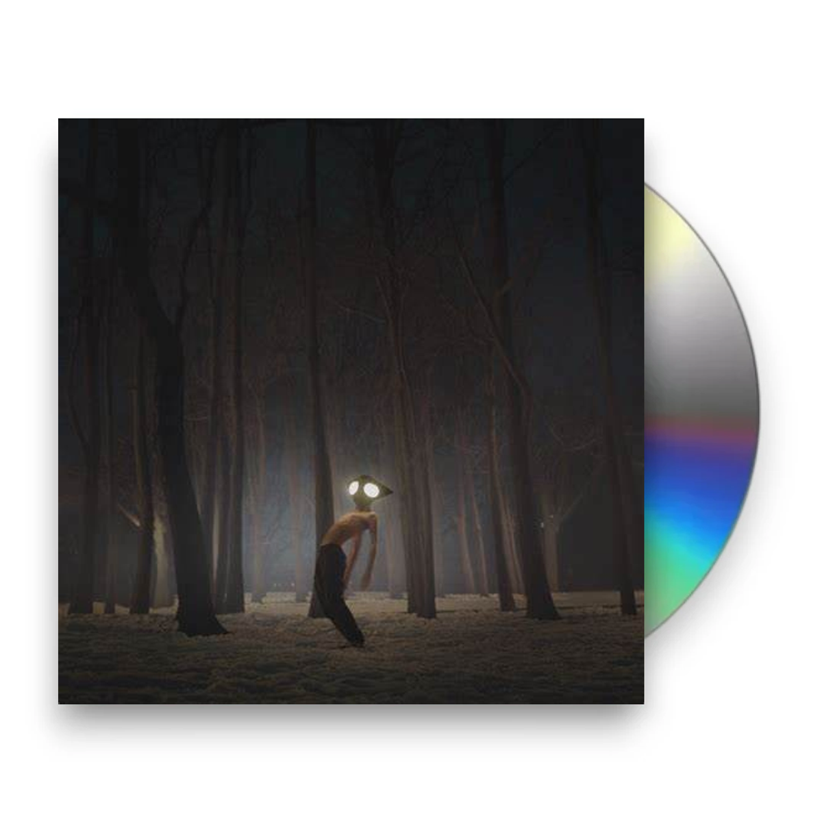 Geese – Projector Music CD