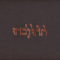 Slow Riot for New Zero Kanada (Extended Play) (180 Gram Vinyl) (Vinyl) Vinyl Record