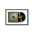 Grateful Dead - American Beauty - Framed Vinyl Record