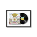 Green Day - Dookie - Framed Vinyl Record