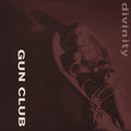 Divinity Vinyl Record