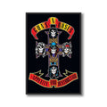 Guns N' Roses Appetite For Destruction Framed Poster