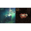 Hozier - Wasteland Baby! & Unreal Unearth (2LP)