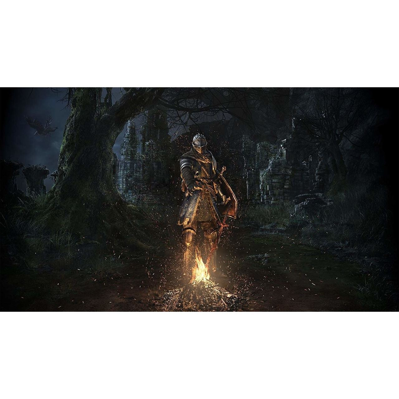 Nintendo - Dark Souls Remastered Switch