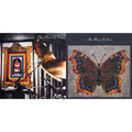 House Of Love - Babe Rainbow (180G/Reissue) & House Of Love (180G/Reissue) - LP Vinyl Bundle
