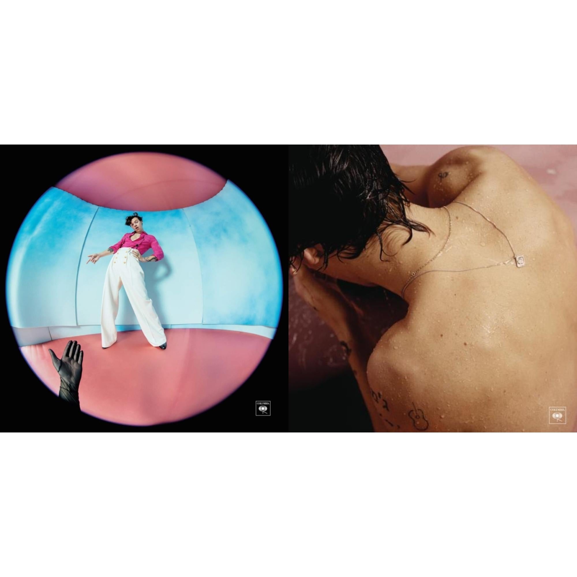 Harry Styles - Fine Line (2LP/Gatefold/Poster) & Harry Styles (180G/Gatefold)