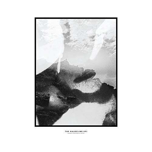 Hippo Campus The Halocline Eps Vinyl Record