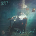 Wasteland Baby (180 Gram Vinyl, Download Insert) [Explicit Content] [Import] (2 Lp's) Vinyl Record