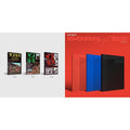 Itzy - Born To Be (Version C) & Not Shy - CD Bundle