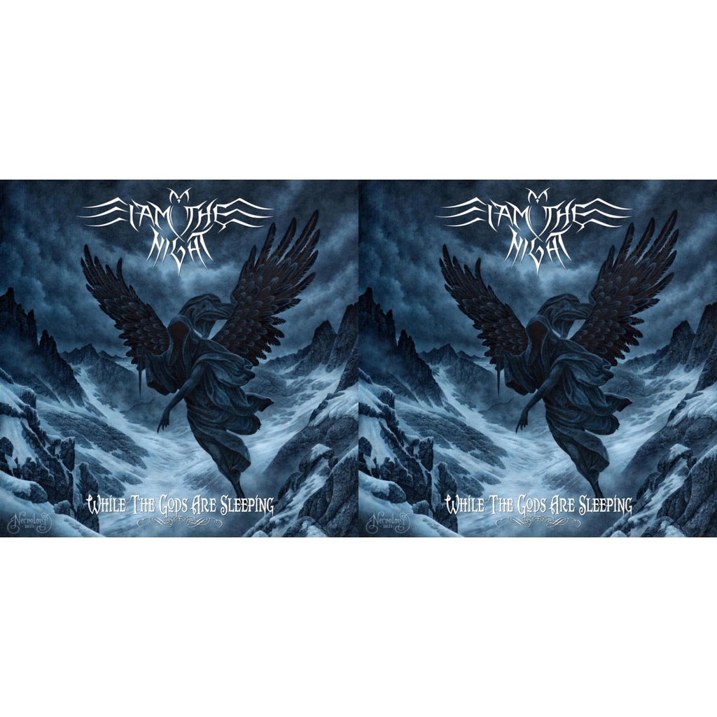 While The Gods Are Asleep & While The Gods Are Asleep (Turquoise LP Vinyl)