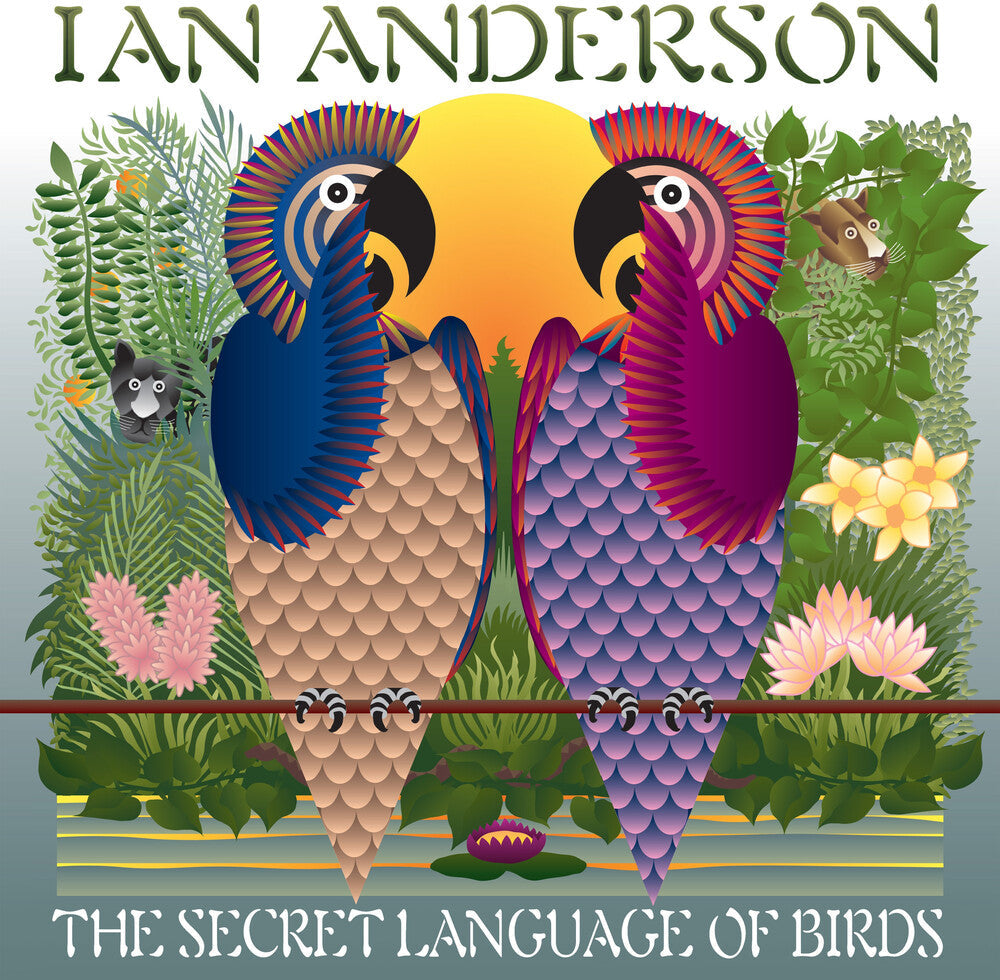 Ian Anderson – Secret Language Of Birds (LP Vinyl) Vinyl Record