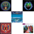 Greatest Hits & Raised On Radio & Captured & Playlist: Journey Greatest Hits Live & Evolution