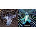 Synkronized & Funk Odyssey (2LP/140G)