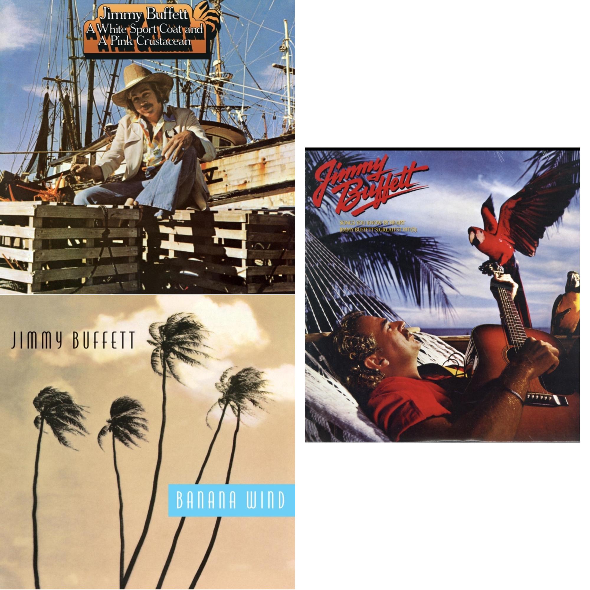 White Sport Coat & A Pink Crustacean  & Banana Wind (2LP) & Songs You Know By Heart