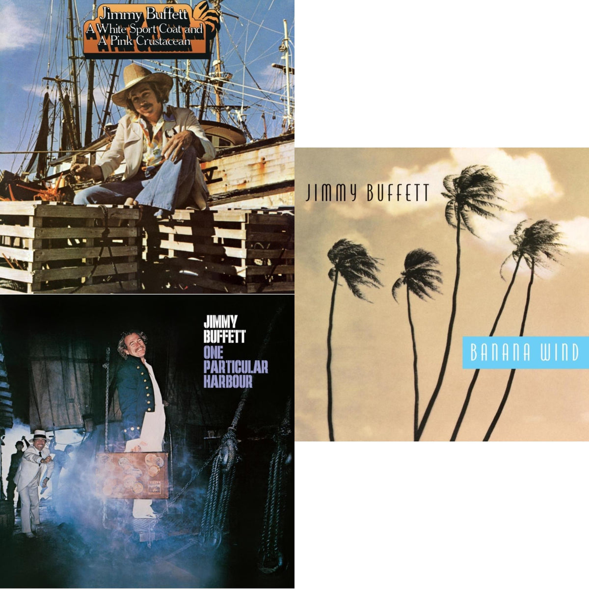 One Particular Harbour & White Sport Coat & A Pink Crustacean  & Banana Wind (2LP)